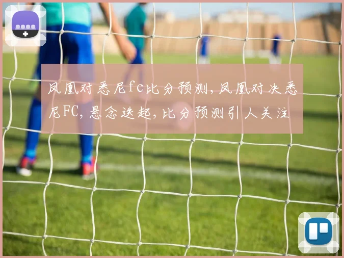凤凰对悉尼fc比分预测,凤凰对决悉尼FC,悬念迭起,比分预测引人关注