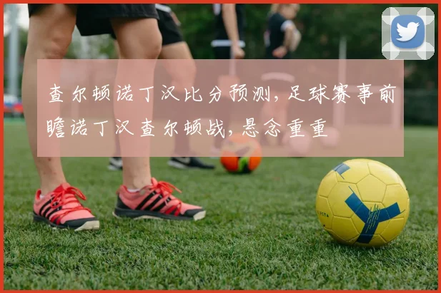 查尔顿诺丁汉比分预测,足球赛事前瞻诺丁汉查尔顿战,悬念重重